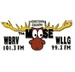 The Moose 101.3 fm & 99.3 fm - WBRV-FM Logo