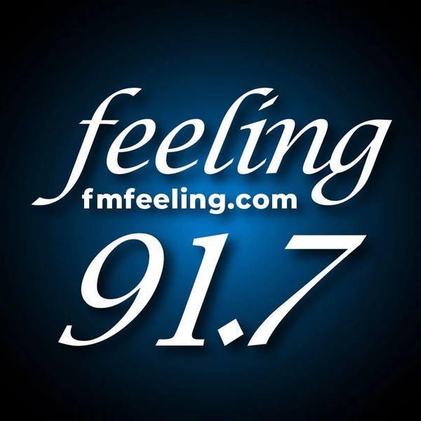 Logo de Feeling FM 91.9
