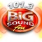 101.3 Big Sound FM - DWDC Logo