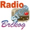 Radio Srcebrckog Logo