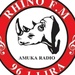96.1 Rhino Fm Logo