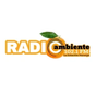 Radio Ambiente