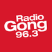 Radio Gong Logo