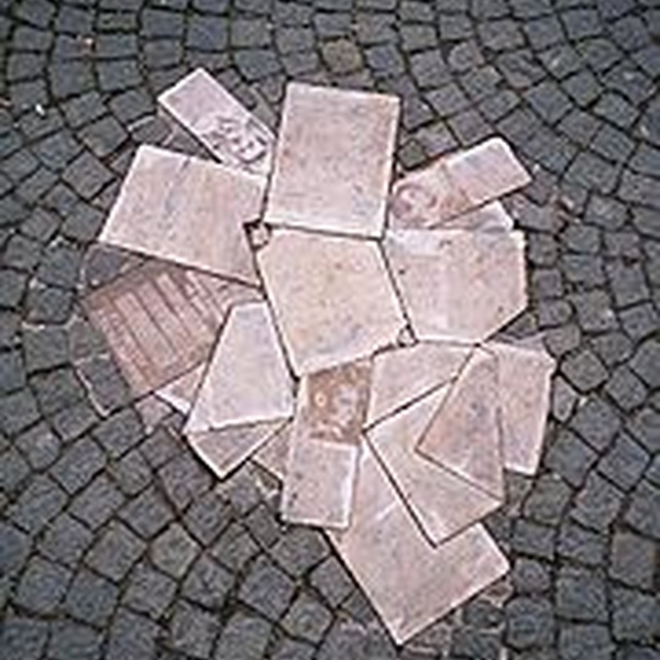 The White Rose Society