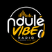 Ndulé vibe Logo