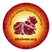 Radio Thiruneriya Thamizhosai Logo