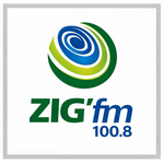ZIG FM 100.8 Logo