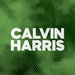 DFM - Calvin Harris Logo