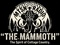 MTSN - The Mammoth Logo