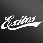 Circuito Éxitos FM  Logo