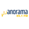 PANORAMA 89.1 FM Logo