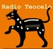 Radio Teocelo - XEYTM Logo