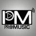 Radio Promusic Logo