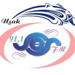 Ses FM Logo