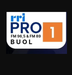RRI - PRO1 Buol Logo