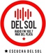 FM del Sol 100.7 Mar del Plata Logo