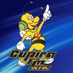 Rádio Cupira FM Logo
