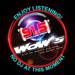 WRS 91.5 Logo