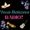 Voces Mexicanas Radio Logo