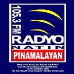 Radyo Natin Pinamalayan - DWMK Logo