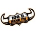 100.9 HANK FM - WXIZ Logo