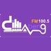 Dihlabeng FM 100.5 Logo