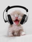 Radio Sumadinac -Folk