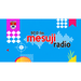 Radio Suara Mesuji Logo