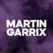 DFM - Martin Garrix Logo