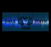 Dark Static Radio Logo