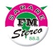 Sarare Stereo Logo