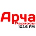 Арское радио Logo