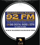 Nagrecha radio Logo