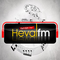 AmedFM Logo
