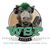 WSR-Stevenson University Radio Logo