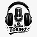 Radio Torino Musica Logo