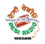 Desi Radio Logo