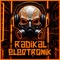 Radikal Electronik Logo