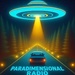 Paradimensional Radio Logo