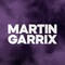 DFM - Martin Garrix Logo