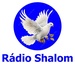 Rádio Shalom JF Logo