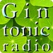 rockSateliteONE - GinTonicRadio Logo