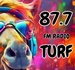 RADIO TURF 87.7 FM Logo