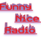 Funny Nice Radio Logo
