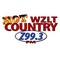 Z 99.3 FM - WZLT Logo