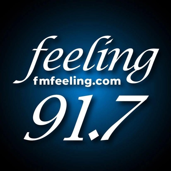 Logo de Feeling FM 91.7