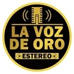 La Voz de Oro Stereo Logo
