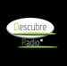 Descubre Radio Logo