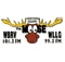The Moose 101.3 fm & 99.3 fm - WBRV-FM Logo