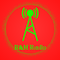 R&M Radio Logo
